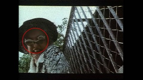 Fehlerbild [05] zum Film 'Braindead'