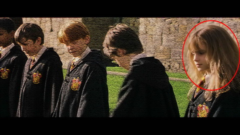 Fehlerbild [14] zum Film 'Harry Potter und der Stein der Weisen'