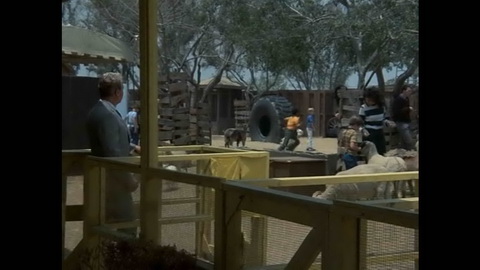 Screenshot [05] zum Film 'Columbo - Mord unter sechs Augen'