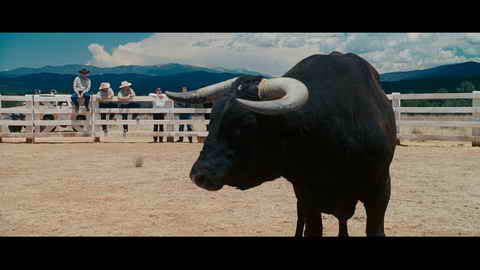 Screenshot [17] zum Film 'Born to Be Wild - Saumäßig unterwegs'
