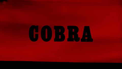 Titelbildschirm vom Film City-Cobra