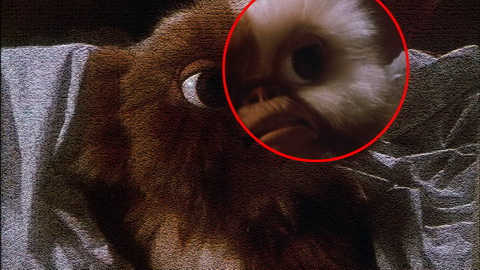 Fehlerbild [04] zum Film 'Gremlins - Kleine Monster'
