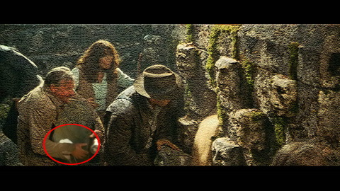 Fehlerbild [21] zum Film 'Indiana Jones und das Königreich des Kristallschädels'