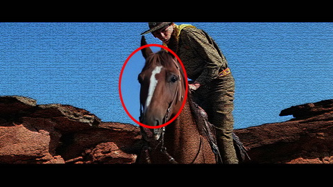 Fehlerbild [02] zum Film 'Indiana Jones und der letzte Kreuzzug'