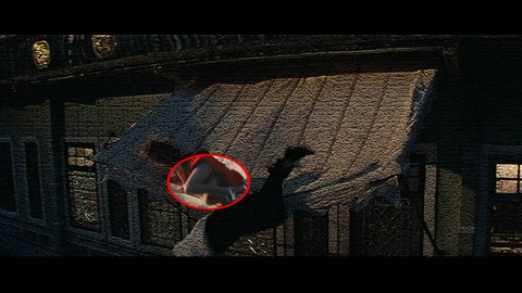 Fehlerbild [08] zum Film 'Indiana Jones und der Tempel des Todes'