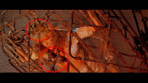 Fehlerbild [19] zum Film 'Indiana Jones und der Tempel des Todes'