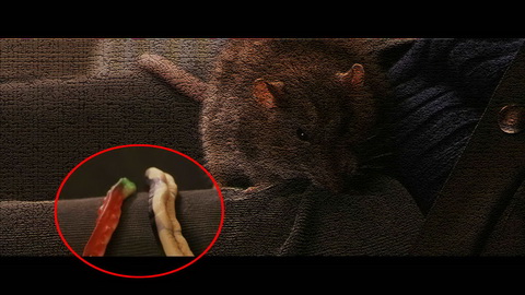 Fehlerbild [11] zum Film 'Harry Potter und der Stein der Weisen'