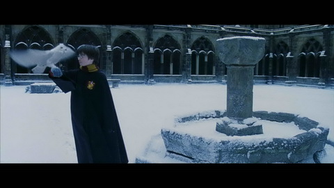 Screenshot [13] zum Film 'Harry Potter und der Stein der Weisen'