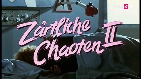 Titelbildschirm vom Film Zärtliche Chaoten II