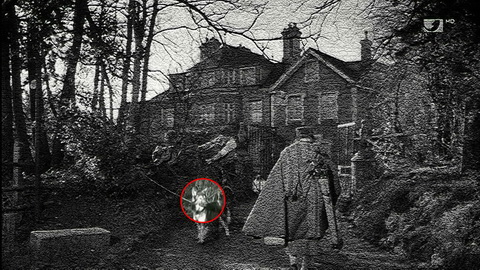 Fehlerbild [01] zum Film 'Miss Marple - 16 Uhr 50 ab Paddington'