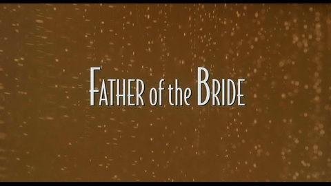 Titelbildschirm vom Film Vater der Braut