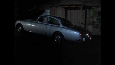 Screenshot [07] zum Film Columbo - Blumen des Bösen