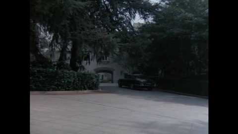 Screenshot [09] zum Film Columbo - Alter schützt vor Torheit nicht