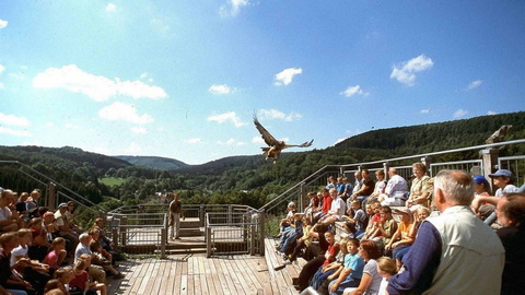 Realbild [16] zum Film 'Geierwally, Die'