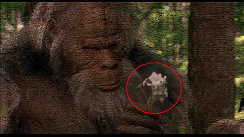 Fehlerbild [03] zum Film 'Bigfoot und die Hendersons'